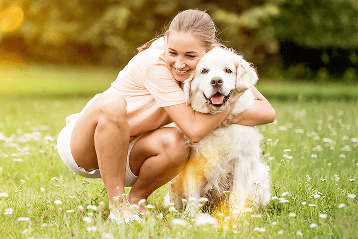 Owner hugging a calm golden retriever in a meadow