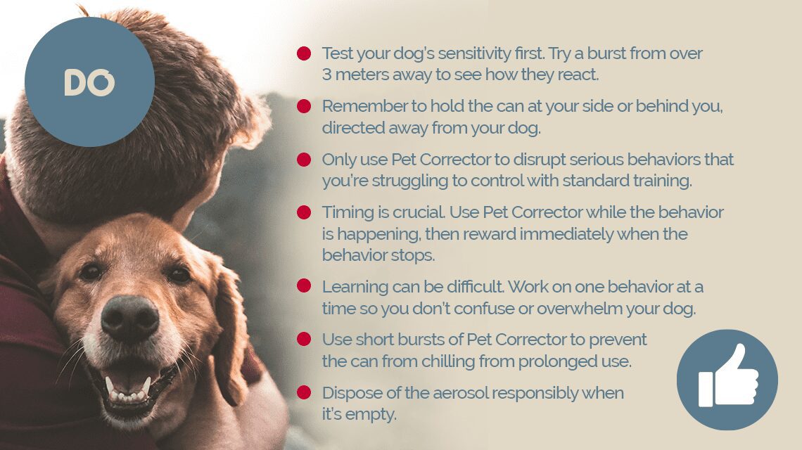 Pet Corrector dos — short bursts aimed away, then reward